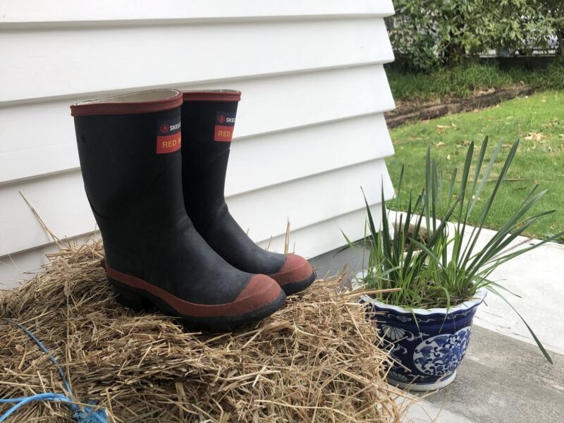 Guess what’s inside these gumboots… ?