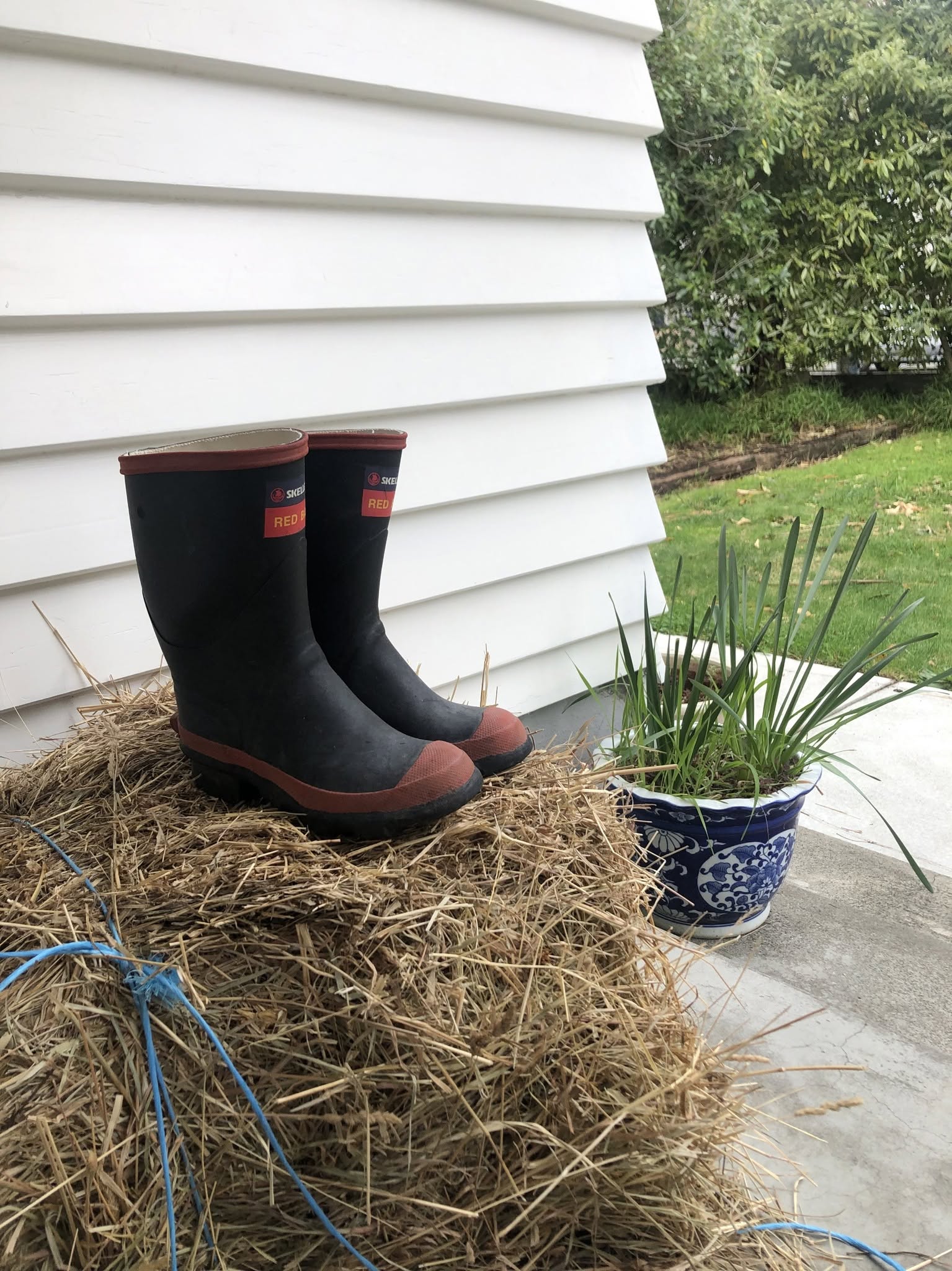 Guess what’s inside these gumboots… ? Guess what’s inside these gumboots… ?